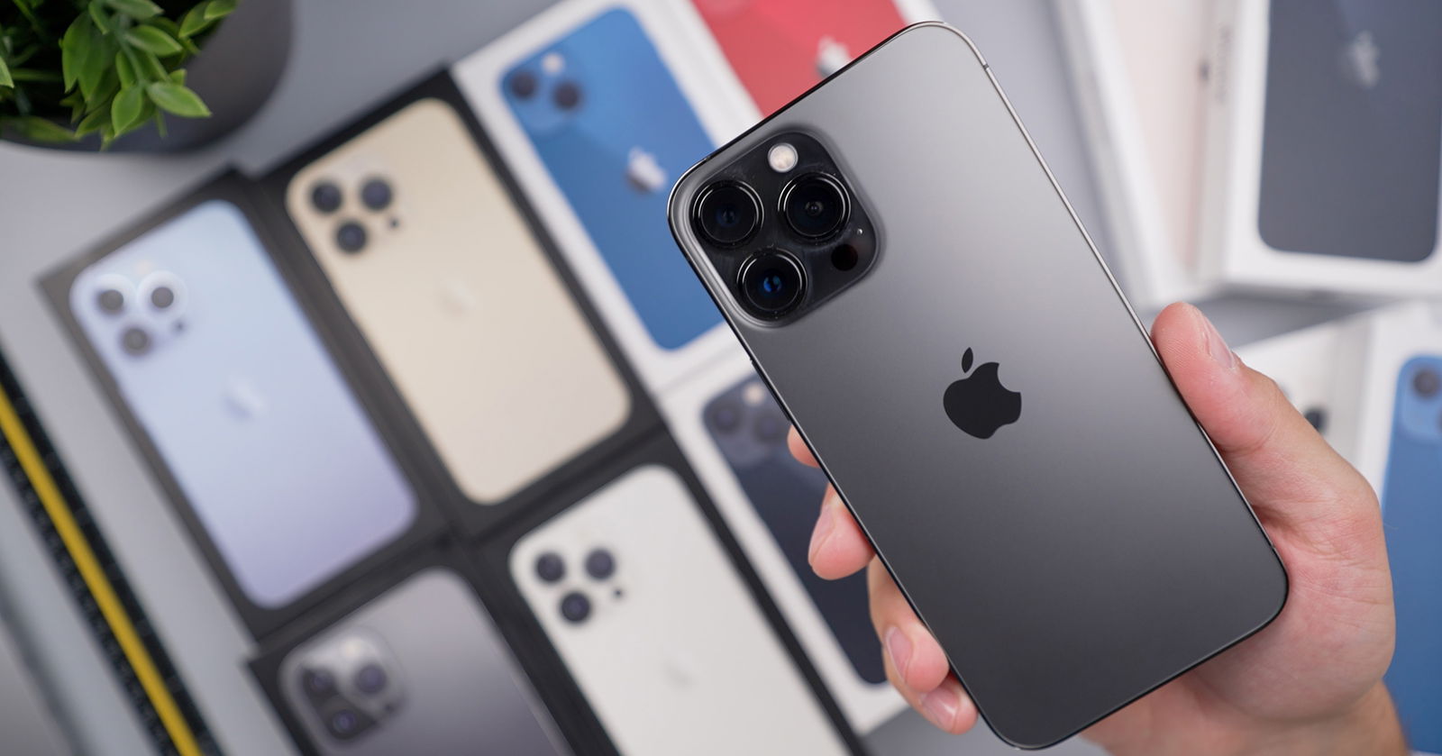 varios modelos de iPhone